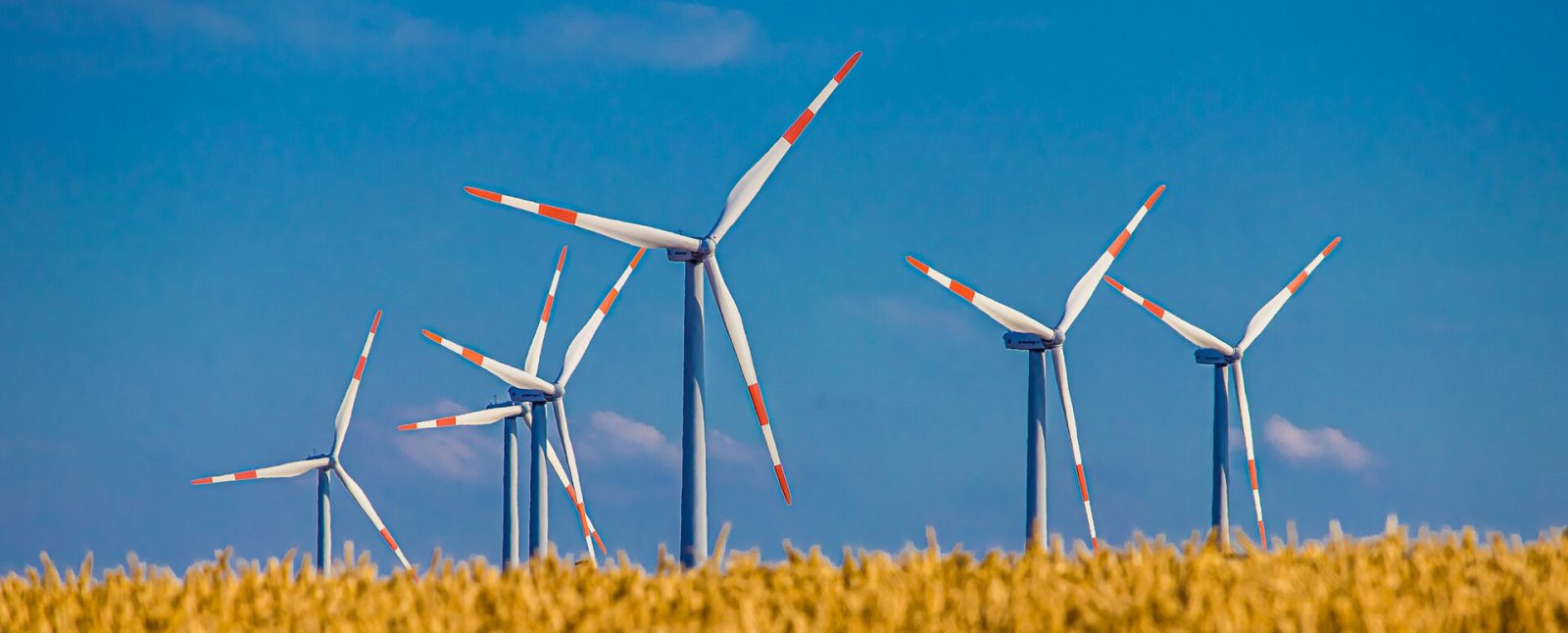 slip ring for wind energy